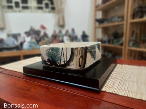 KT 15,5x6. Hàng Nhật bát giác già cốt. 380k bay nhanh.