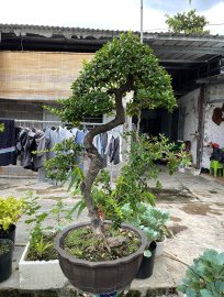 Những TP hải châu đẹp ở Nha Trang phố !!!