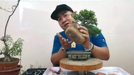 Bón Phân Như Thế Nào?