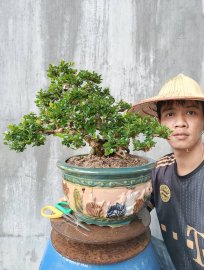 Tác phẩm Gợi Nhớ Nắng Hè
