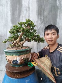Tác phẩm Gợi Nhớ Nắng Hè
