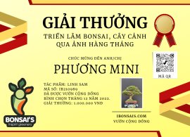 Tác phẩm linh sam