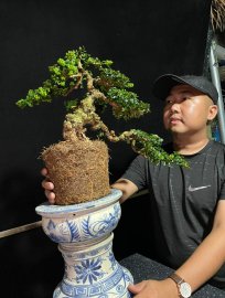 Sam chuẩn núi trái khai thác đổ