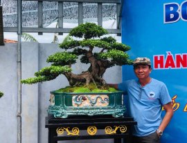 Tác phẩm Hải Châu rin