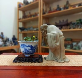 Đời người như bóng câu ngoài cửa sổ - như hoa sớm nở tối tàn.