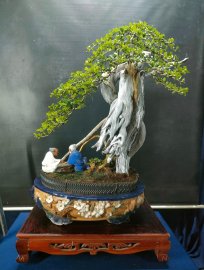 Mời ace vào xem live tối nay nhé!