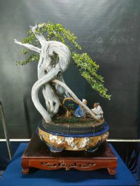 Mời ace vào xem live tối nay nhé!
