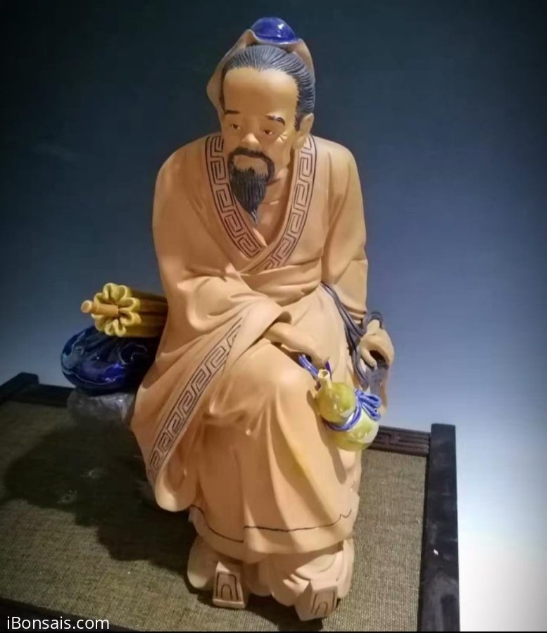 Hoa Đà hàng kỹ nét