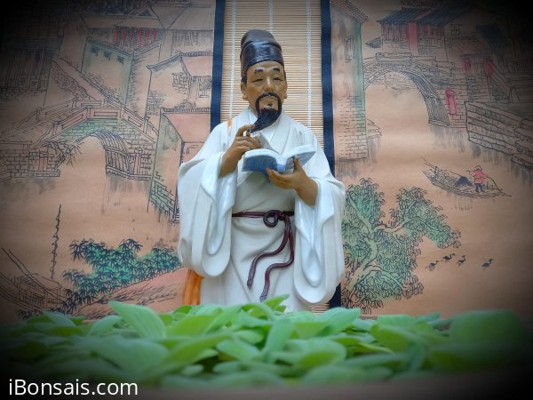 Chuẩn nét sắc diện truyền thần tôn vinh nghệ thuật gốm Phật Sơn