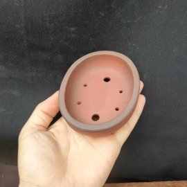 Chậu oval cánh dán, hoa văn chạm viền OV017