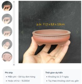 Chậu oval cánh dán, hoa văn chạm viền OV017