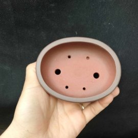 Chậu oval cánh dán, zise nhỏ OV016