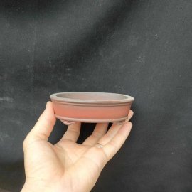 Chậu oval cánh dán, zise nhỏ OV016