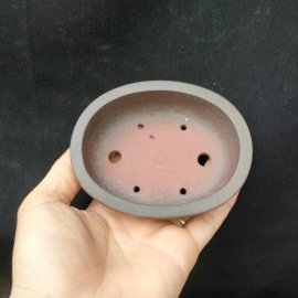 Chậu oval cánh dán, zise nhỏ OV016