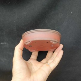 Chậu oval cánh dán, zise nhỏ OV016