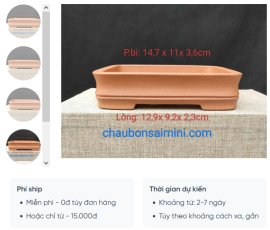 Chậu chữ nhật cạn, viền lõm CN027
