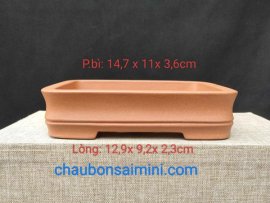 Chậu chữ nhật cạn, viền lõm CN027