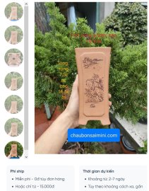 Chậu vuông, cao điêu khắc thủ công 4 mặt V031