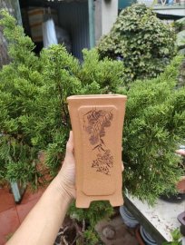 Chậu vuông, cao điêu khắc thủ công 4 mặt V031