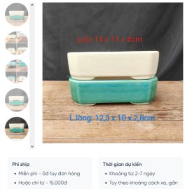 Chậu chữ nhật cạn phủ men rạn CN019