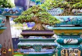 Chiều mát quá ace