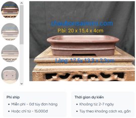 Chậu chữ nhật cạn,miệng loe CN032
