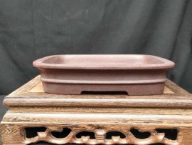 Chậu chữ nhật cạn,miệng loe CN032