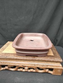 Chậu chữ nhật cạn,miệng loe CN032