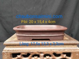 Chậu chữ nhật cạn,miệng loe CN032