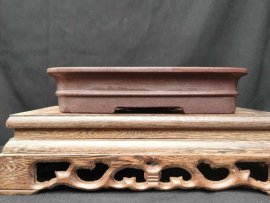Chậu chữ nhật cạn,miệng loe CN032
