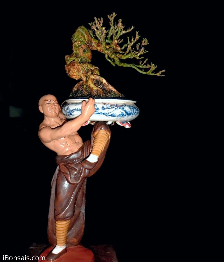 Luyện công đêm khuya