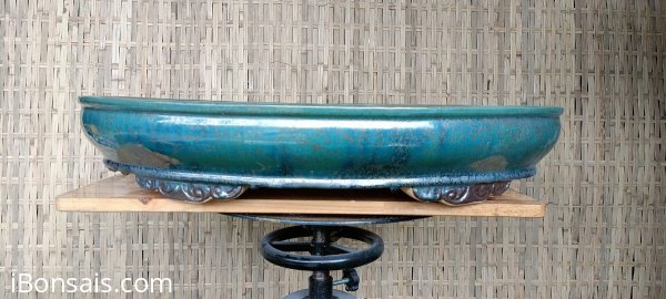 Chậu Oval 70cm gl cùng anh em