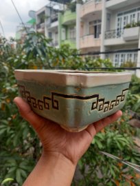 Hàng sâu tuổi, cốt dày nặng