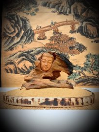 NHÂN SINH NHƯ MỘNG ẢO