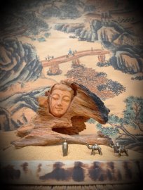 NHÂN SINH NHƯ MỘNG ẢO