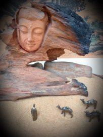 NHÂN SINH NHƯ MỘNG ẢO