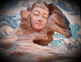 NHÂN SINH NHƯ MỘNG ẢO