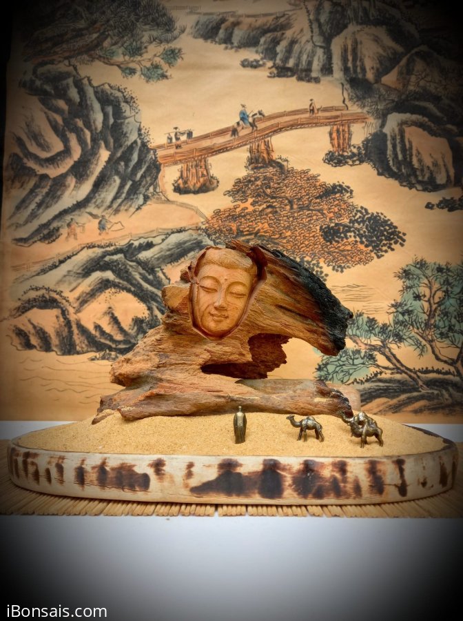 NHÂN SINH NHƯ MỘNG ẢO