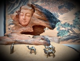 NHÂN SINH NHƯ MỘNG ẢO