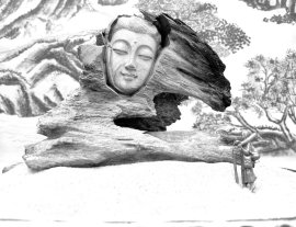 NHÂN SINH NHƯ MỘNG ẢO