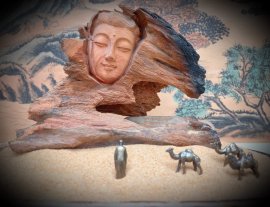 NHÂN SINH NHƯ MỘNG ẢO