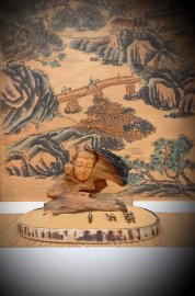 NHÂN SINH NHƯ MỘNG ẢO