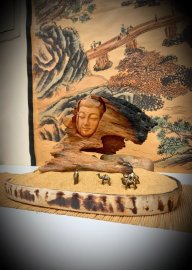 NHÂN SINH NHƯ MỘNG ẢO