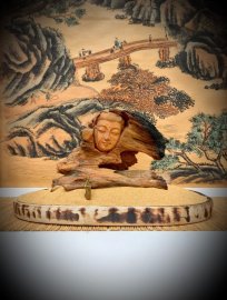 NHÂN SINH NHƯ MỘNG ẢO