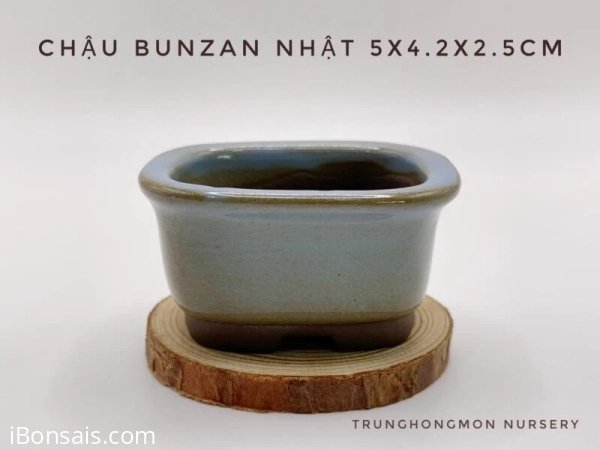 Chậu tròn Bunzan Nhật Bản tráng men