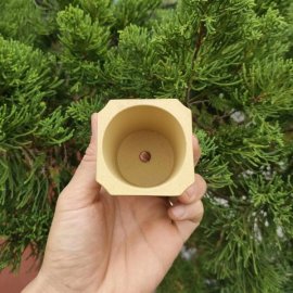 Chậu vuông, cao điêu khắc thủ công; size nhỏ V038