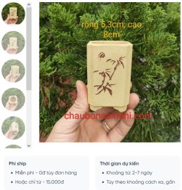 Chậu vuông, cao điêu khắc thủ công; size nhỏ V038