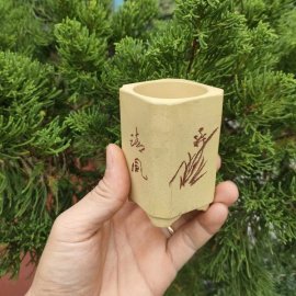 Chậu vuông, cao điêu khắc thủ công; size nhỏ V038