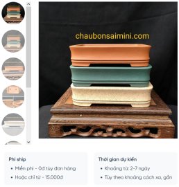 Chậu chữ nhật cạn, viền lõm; bộ gồm 3 mẫu CN038