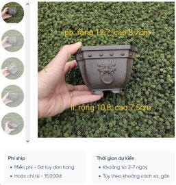 Chậu vuông vat góc, mặt bợm V047